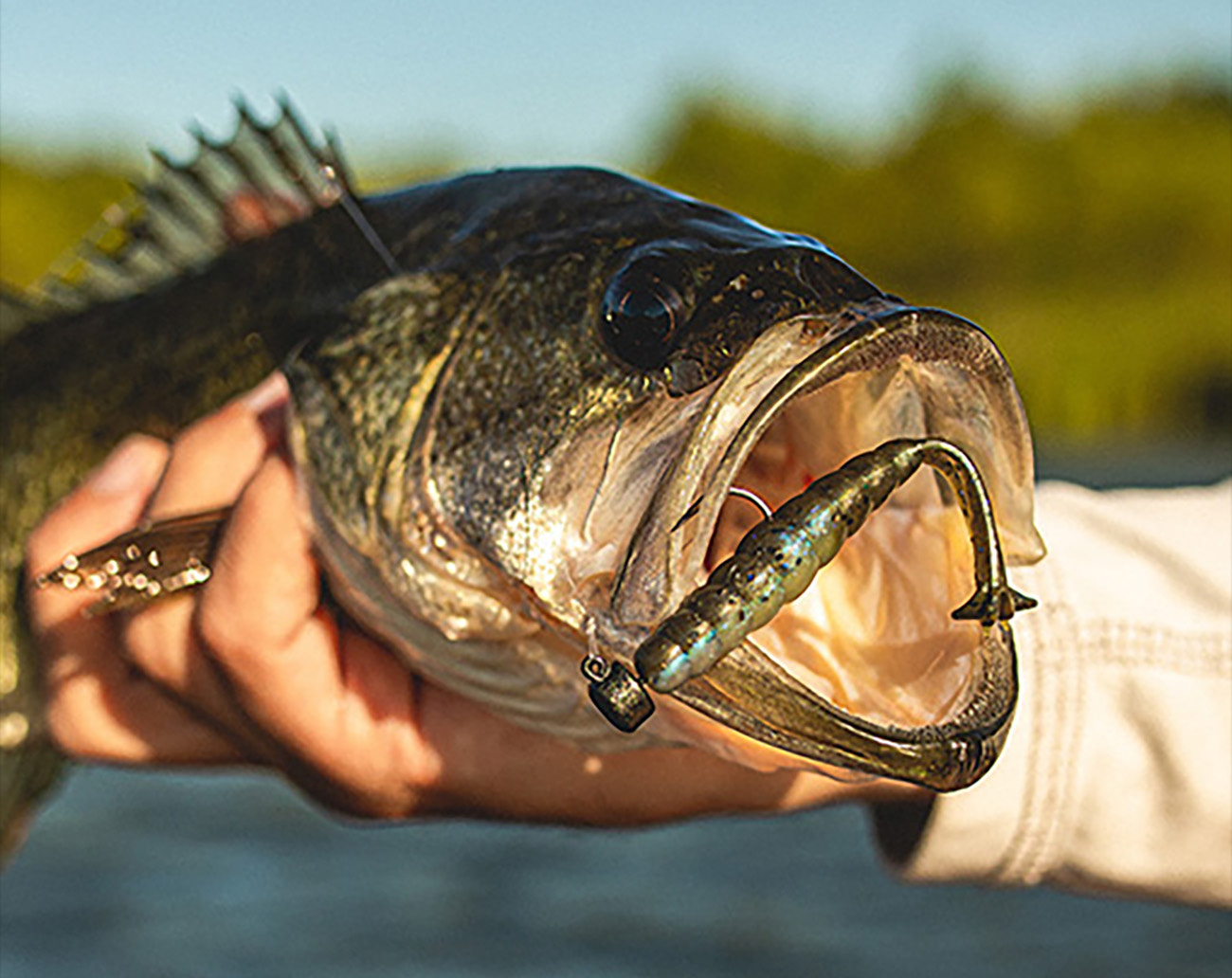 Z-Man Baby Goat 3'' (6-pack)